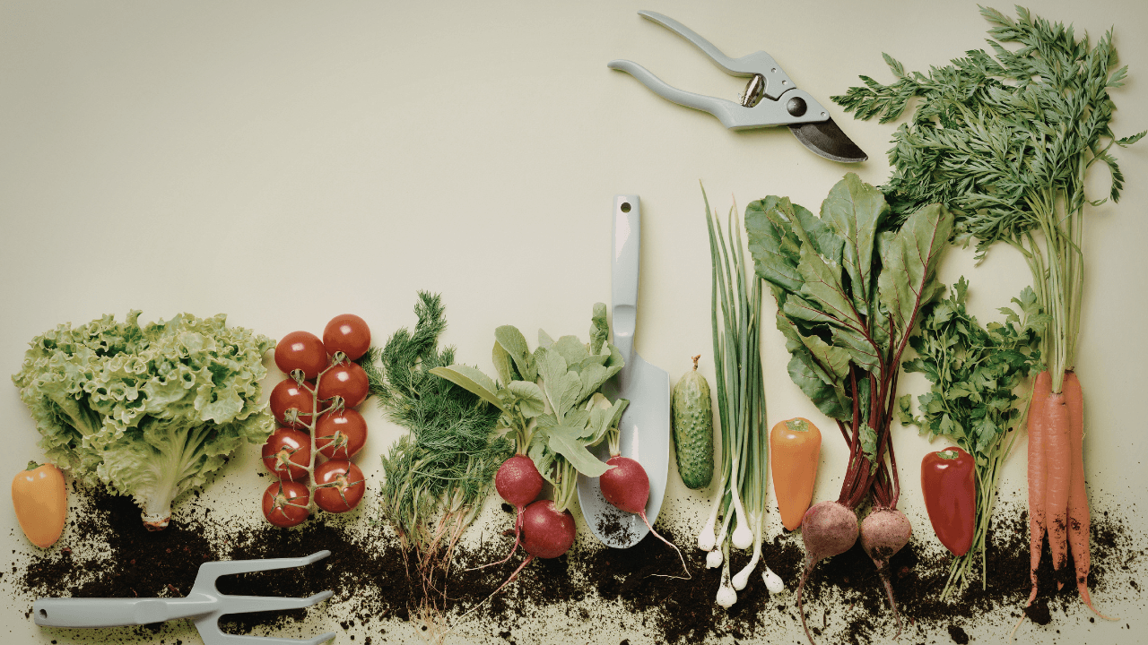 Best Muslim Charities for Food Security (2026): Where to Give Your Zakat