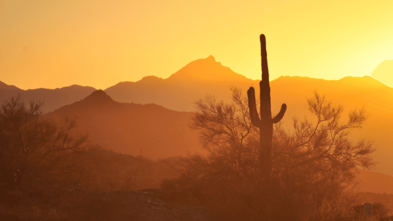 Islamic Wills in Arizona (2026): What Muslim Residents Need to Know