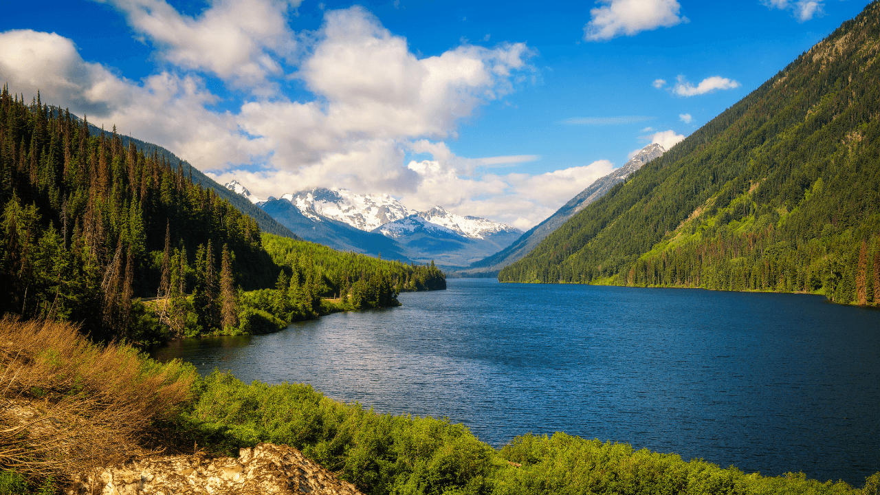 Islamic Wills in British Columbia (2026)