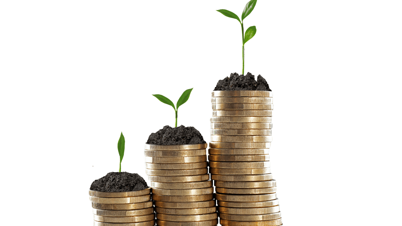 Using Wealthsimple Trade for DIY Halal Investing in Canada (2026)