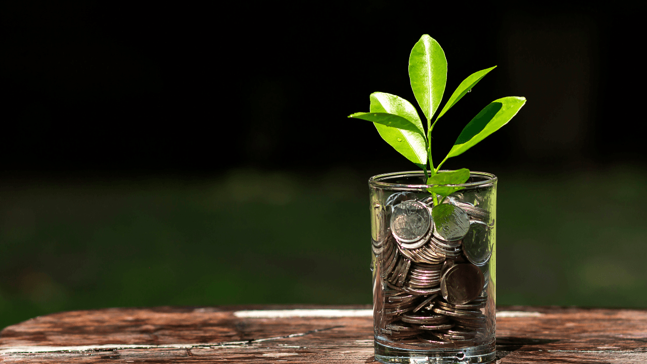 TFSA at Age 18: Halal Investing in Canada (2026)