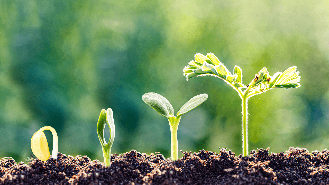 CAD-Hedged vs Unhedged Halal ETFs in Canada (2026)