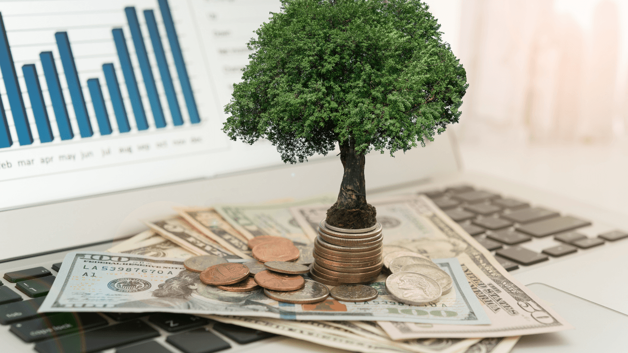 Family vs Individual RESP with Halal Investing in Canada (2026)